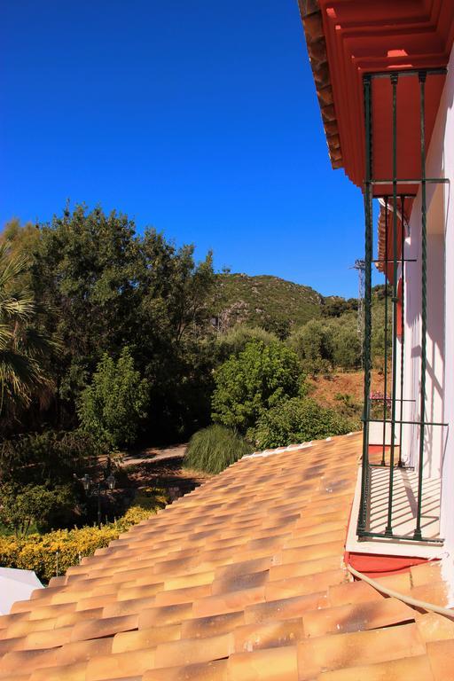 Hostal La Zamora Carcabuey Εξωτερικό φωτογραφία