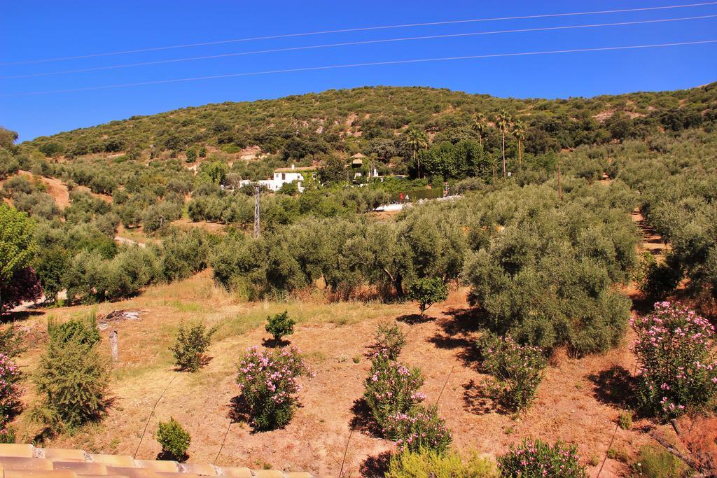 Hostal La Zamora Carcabuey Εξωτερικό φωτογραφία